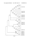 Plants with improved yield and stress tolerance diagram and image