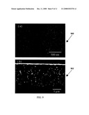 SURFACE ACOUSTIC WAVE (SAW) DEVICES BASED ON CUBIC BORON NITRIDE/DIAMOND COMPOSITE STRUCTURES diagram and image