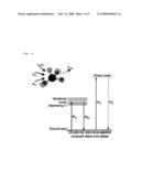 Imaging Apparatus for IR Four-Wave Mixing Polarization Microscopy diagram and image