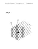 Broadband Light Source Having a Microstructured Optical Fiber for Endoscopic and Fluorescence Microscopic Examination Devices, in Particular for Special Devices for Optical Biopsy diagram and image