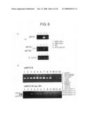 Agents for Regulating the Activity of Interferon-Producing Cells diagram and image