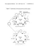 Cell Free Biosynthesis of High-Quality Nucleic Acid and Uses Thereof diagram and image