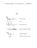 METHODS AND COMPOSITIONS FOR NUCLEIC ACID AMPLIFICATION diagram and image