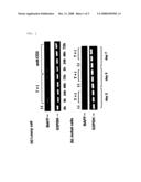 Method of Screening Baff Suppressor or Inhibitor diagram and image