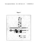 Molecular Glue diagram and image