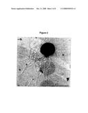 Molecular Glue diagram and image