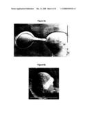 Molecular Glue diagram and image