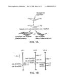 RNA interference pathway genes as tools for targeted genetic interference diagram and image