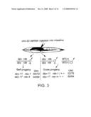 RNA interference pathway genes as tools for targeted genetic interference diagram and image