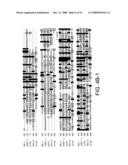 RNA interference pathway genes as tools for targeted genetic interference diagram and image