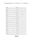 RNA interference pathway genes as tools for targeted genetic interference diagram and image