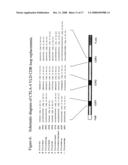 V-Like Domain Binding Molecules diagram and image