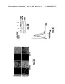 Modulation Of Cd4+ T Cell Responses By A Tick Saliva Protein, Salp15 And Polypeptides Derived Therefrom diagram and image