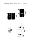 Modulation Of Cd4+ T Cell Responses By A Tick Saliva Protein, Salp15 And Polypeptides Derived Therefrom diagram and image