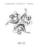 Three-Dimensional Structures of TALL-1 and its Cognate Receptors and Modified Proteins and Methods Related Thereto diagram and image