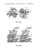 Three-Dimensional Structures of TALL-1 and its Cognate Receptors and Modified Proteins and Methods Related Thereto diagram and image