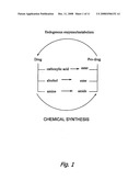 COMPOSITIONS CONTAINING PRODRUGS OF FLORFENICOL AND METHODS OF USE diagram and image