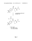 COMPOSITIONS CONTAINING PRODRUGS OF FLORFENICOL AND METHODS OF USE diagram and image