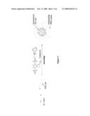 Transition Metal-Catalyzed Synthesis of Dendritic Polymers diagram and image