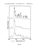 Diagnostic tool detecting the degradation status of Von Willebrand Factor multimers diagram and image