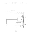 Diagnostic tool detecting the degradation status of Von Willebrand Factor multimers diagram and image