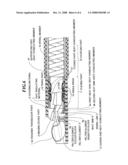 ULTRASONIC ENDOSCOPE AND ULTRASONIC ENDOSCOPIC APPARATUS diagram and image