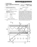 METHOD AND APPARATUS FOR SIMULATION OF OPTICAL SYSTEMS diagram and image