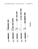 Methods for modifying plant morphology, biochemistry and physiology diagram and image