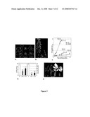 Methods for modifying plant morphology, biochemistry and physiology diagram and image