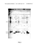 Polysaccharide Synthases diagram and image