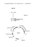 Polysaccharide Synthases diagram and image