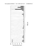 Polysaccharide Synthases diagram and image