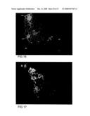 Polysaccharide Synthases diagram and image