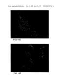 Polysaccharide Synthases diagram and image