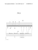 LIGHT EMISSION DEVICE AND DISPLAY DEVICE USING THE LIGHT EMISSION DEVICE AS A LIGHT SOURCE diagram and image