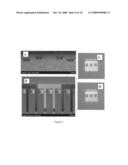 Nanolithography with use of viewports diagram and image