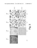 Face Recognition Using Discriminatively Trained Orthogonal Tensor Projections diagram and image