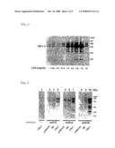 Process for the Determination of Inflammatory Process and Pharmaceutical Compositions for the Treatment Thereof diagram and image