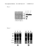 Process for the Determination of Inflammatory Process and Pharmaceutical Compositions for the Treatment Thereof diagram and image