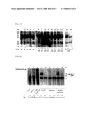 Process for the Determination of Inflammatory Process and Pharmaceutical Compositions for the Treatment Thereof diagram and image