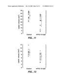 VASCULAR ENDOTHELIAL CELL GROWTH FACTOR ANTAGONISTS AND USES THEREOF diagram and image