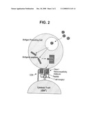 PROTEIN CAGE IMMUNOTHERAPEUTICS diagram and image