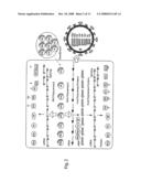 DNA-transfection system for the generation of infectious influenza virus diagram and image