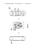 Programmed-release, nanostructured biological construct diagram and image