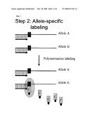 Nucleic Acid Sequencing diagram and image