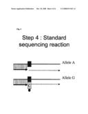Nucleic Acid Sequencing diagram and image