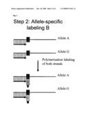 Nucleic Acid Sequencing diagram and image