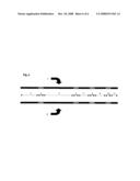 Nucleic Acid Sequencing diagram and image