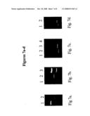 METHOD FOR QUANTITATIVE MEASUREMENT OF GENE EXPRESSION FOR INDENTIFYING INDIVIDUALS AT RISK FOR BRONCHOGENIC CARCINOMA diagram and image