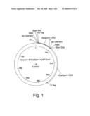 System for screening eukaryotic membrane proteins diagram and image